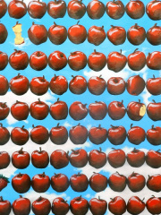 全国高校総合文化祭文化連盟賞2調子ちえ