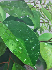 １５第63回御坊市美術展覧会-　奨励賞　1年-谷口万桜「緑の滴」