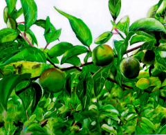 1年-切本優希　「入梅の候」第66回田辺市美術展　入選.