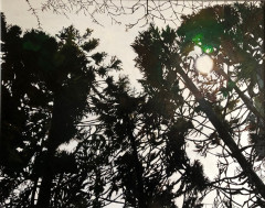 第40回近畿高校総合文化祭奈良大会奨励賞　2年-松本桃奈　「Forest」　油彩